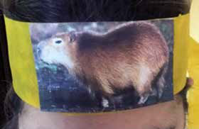 Guardianes del agua 7